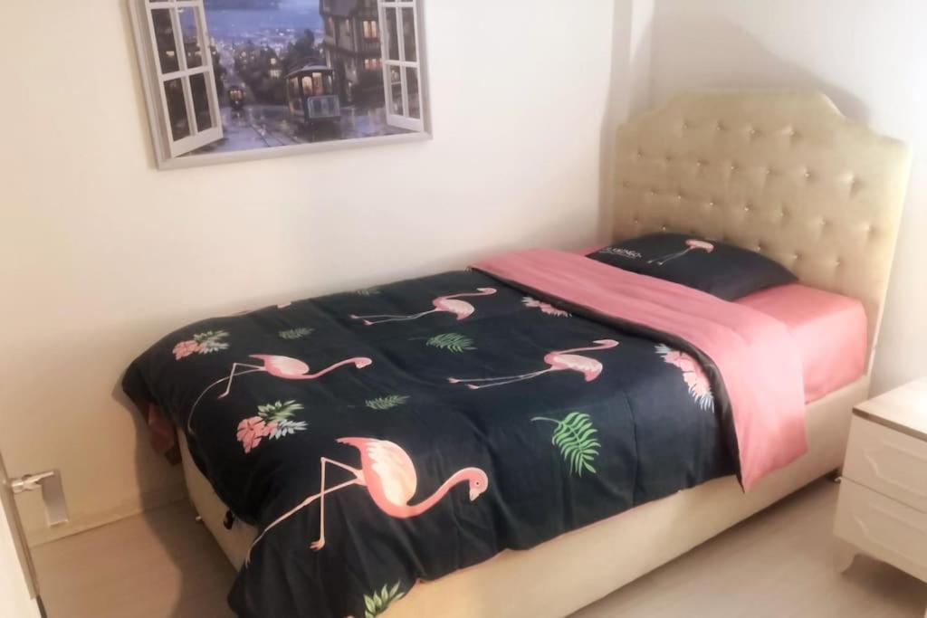דירות איזמיר 3+1 , Historical Elevator, Warm House Next To Sea מראה חיצוני תמונה